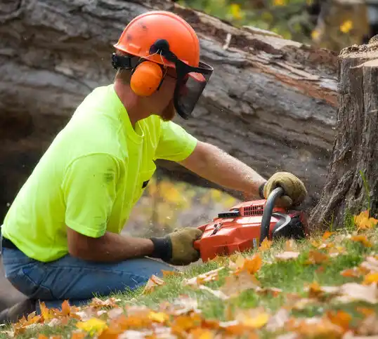 tree services Breckinridge Center